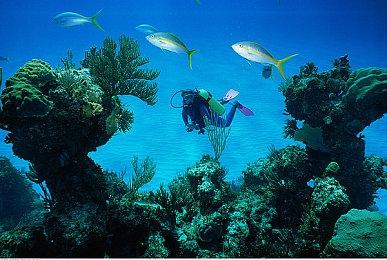 《自杀小队：杀死正义联盟》让华纳兄弟游戏收入暴跌41%